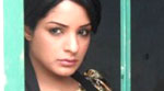 مسلسل شويه امل الحلقه 20 مشاهده
