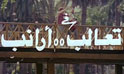 فيلم تعالب أرانب