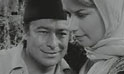 فيلم الملعون