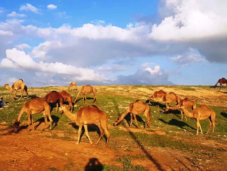 ���� ���� ������ �� ���� ������