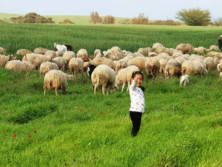 نقره لعرض الصورة في صفحة مستقلة