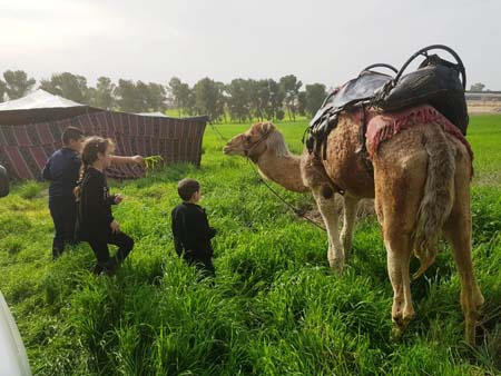 نقره لعرض الصورة في صفحة مستقلة