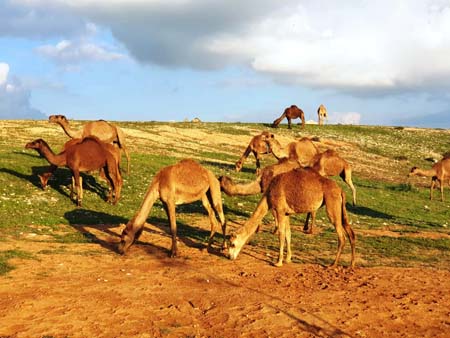 ���� ���� ������ �� ���� ������