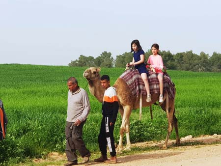 نقره لعرض الصورة في صفحة مستقلة