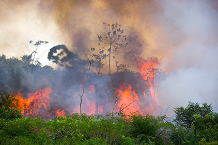 Panet ناسا خطورة داهمة لحرائق غابات الأمازون على البشر