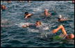 ‘في عز المربعانية‘..  كبار السن يمارسون السباحة والرياضة على الشاطئ في غزة