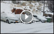 بالفيديو والصور | شاهدوا : صباح الثلوج والفرح الأبيض .. في مجدل شمس الجولانية