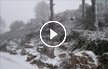 فيديو وصور : الثلوج تهطل في بيت جن والبقيعة وسط فرحة المواطنين