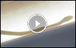 شاهدوا بالفيديو : ثعبان يجبر طائرة ماليزية على الهبوط 