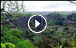 شاهدوا سحر الطبيعة في محمية ‘جاملا‘ في هضبة الجولان- وتدفق غزير للشلالات
