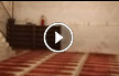 تعرفوا على ‘مسجد البراق‘ في مدينة القدس - فيديو وصور