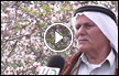 المزارع أحمد صبيحي من كفر مصر يتحدث عن موسم قطف اللوز