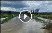 بعد هطول الامطار: نهر الاردن يفيض شمالي البلاد -فيديو وصور