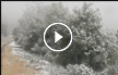 في فصل الربيع : الثلوج تتساقط على جبل الجرمق | فيديو وصور