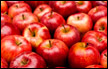 فوائد التفاح على الريق وتأثيره على الصحة والجمال معًا