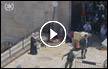 الشرطة :‘ إحباط عملية طعن في القدس واعتقال قاصر ‘ - فيديو