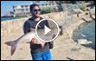 الشاب النصراوي جعفر نجم يصطاد سمكة عملاقة في بحيرة طبريا