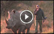 عودة حيوان وحيد القرن بعد انقراضه في موزامبيق لمدة 40 عاماً