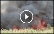اندلاع حريق بمنطقة مفتوحة في اوفاكيم وتشويشات بشارع 90