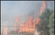 إندلاع حريق بمنطقة مفتوحة في غابات بن شيمن
